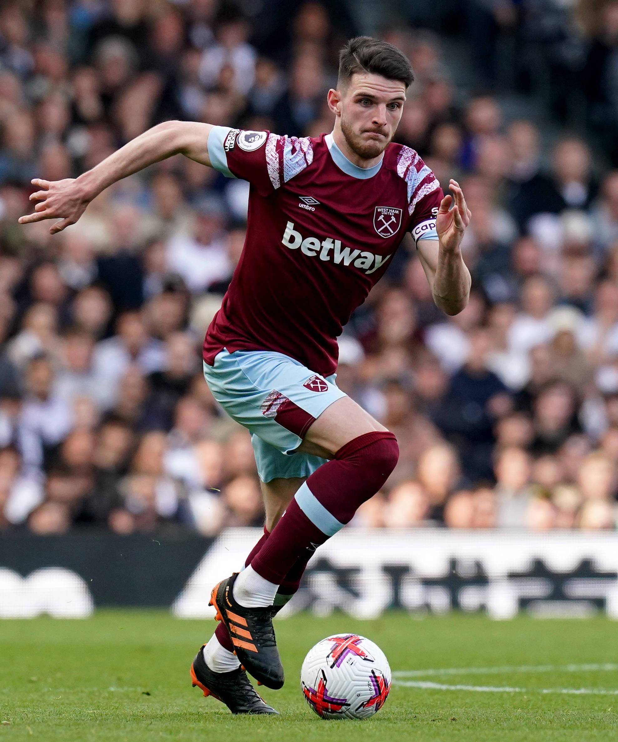 昙花一现 昙花一现